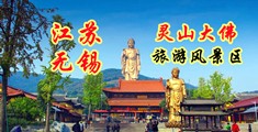 看黄插b视频网站江苏无锡灵山大佛旅游风景区