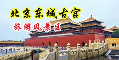 大鸡巴插逼射精视频内射中国北京-东城古宫旅游风景区